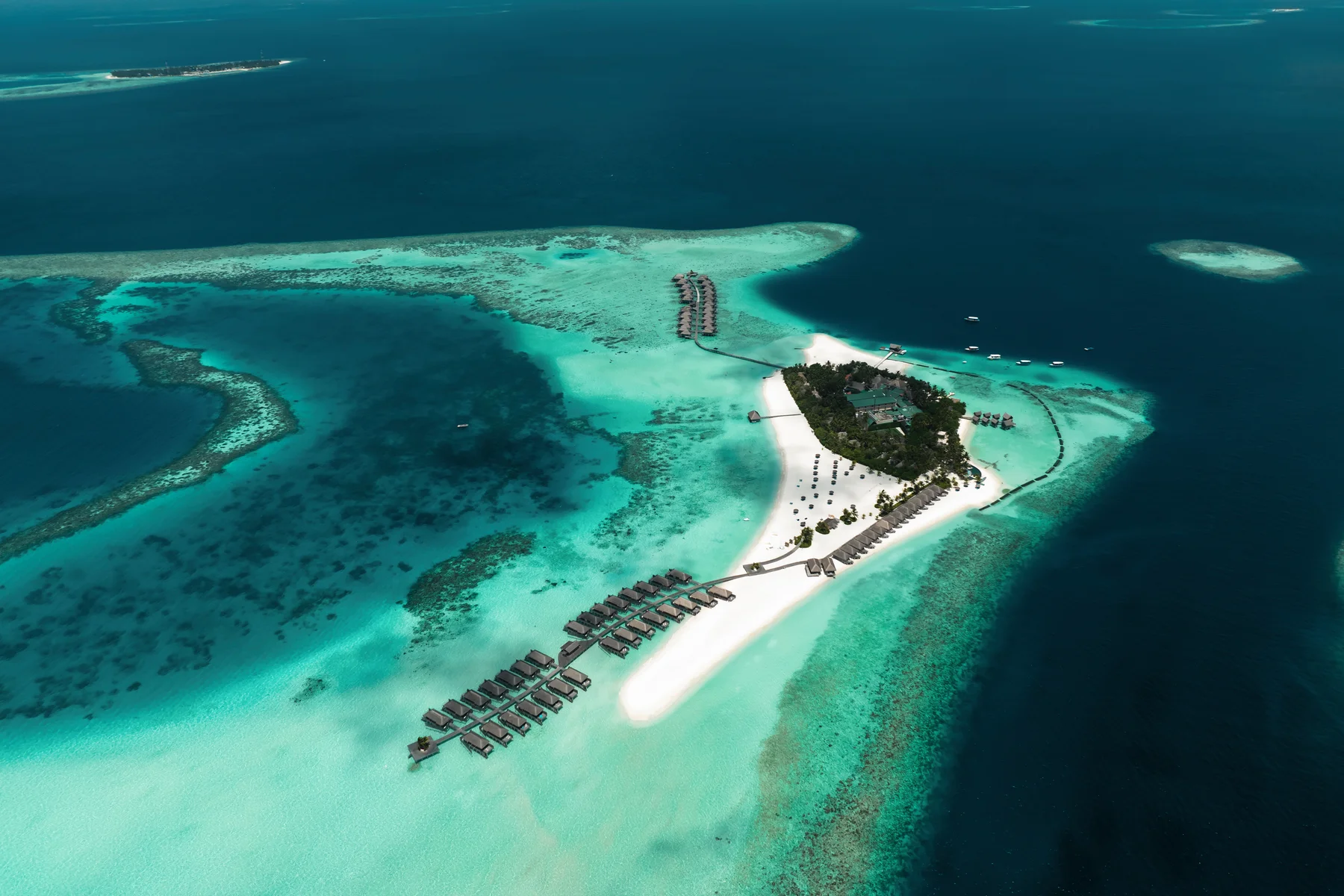 Special Offers at CONSTANCE MOOFUSHI